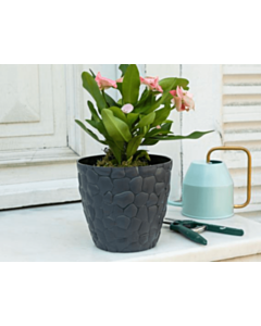 Dibçək 1KSAKS0166244