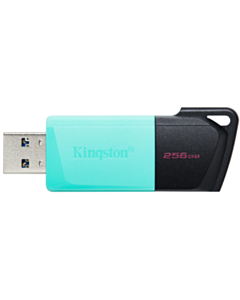 Флеш карта Kingston 256 GB Exodia M DTXM/256GB
