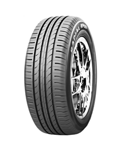 Avtomobil təkəri Golden RP68 100V M+S 245/45R18
