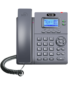 DECT Najivin VIP-T80PGN