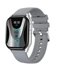 Смарт-часы Canyon Chatter CNS-SW58SS