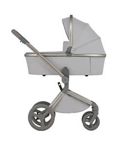 Детская коляска Anex Flo Frosey