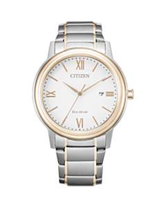 Saat Citizen Eco Drive AW1676-86A
