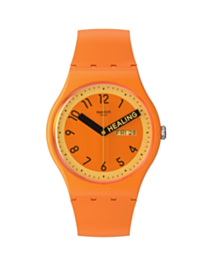 Saat Swatch SO29O700