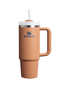 Термос Stanley Brown  30 Ounces 887 41604444364