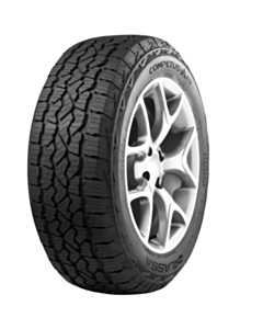Avtomobil təkəri Lassa 255/65R17 Competus A/T3 110T M+S 001.LS.216721