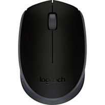 Mouse Logitech M171 Black