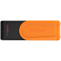 Флеш карта Kingston 256 GB USB 3.2 Gen 1 DTXS/256GB Black, Orange