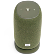 JBL Link Portable Green