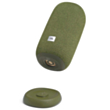 JBL Link Portable Green