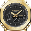 Часы G-Shock GM-2100G-1A9DR