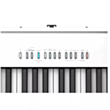 Пианино Roland FP-30X WH