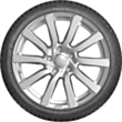 Nokian WR A4 102V 245/45R19	