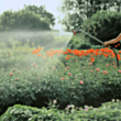 Садовый душ Gardena 2849 1
