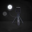 SBS Selfie Tripod + Light / TESELFIERINGMINI