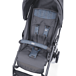 Lite way 3 complete BB Stroller Spectrum