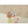 Fisher-Price игрушка 746775371531