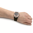 Saat Ingersoll The Catalina Automatic I12503 