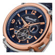 Часы Ingersoll The Michigan Automatic I01101B