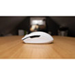 Gaming mouse Razer Orochi V2 WL/BT White