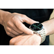 Green Lion Signature Silver / GNSIGSWSL