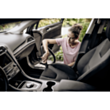 Пылесос Karcher WD 2 Plus V-12/4/18/C (YYY) EU