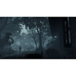 Диск Playstation 4 (The Evil Within 2)