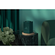 Smart akustika Yandex Station Max YNDX-00053Z Green