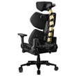 Gaming Chair COUGAR CGR-TRE-GLB