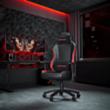 Gaming Chair AndaSeat Luna AD18-48-BR-PV Black, Red