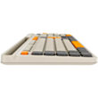 Клавиатура Canyon Combo Beige CNS-HSETW5BG 