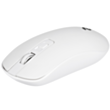 Mouse 2E MF210 White