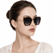 Солнцезащитные очки Ana Hickmann AH3291 E01A