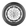 Nankang SP-9 111V 275/55R19