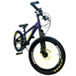 Велосипед BMX 20 GTR-334 G2 Blue