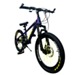 Велосипед BMX 20 GTR-334 G2 Blue