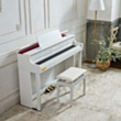 Rəqəmsal piano Casio AP-750WE Celviano