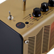 Усилитель Yamaha THR5A//H H GD