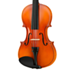 Skripka Mirra VB 290 4/4