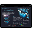 iPad Air 13-inch (M4) Wi-Fi 128 GB Starlight