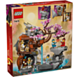 LEGO Dragon Stone Shrine 71819 / 5702017584614