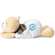 Мягкая игрушка Chicco Teddy 00012160000000
