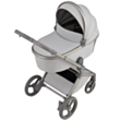 Детская коляска Anex Flo Frosey
