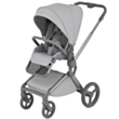 Детская коляска Anex Flo Frosey