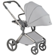 Детская коляска Anex Flo Frosey