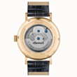 Saat Ingersoll The Charles Automatic I05808