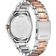 Saat Citizen BI5104-57Z