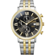 Saat Citizen AN3616-75E 