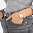 Saat Balmain B81503382