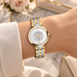 Saat Balmain B81523914